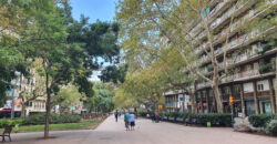 PENÚLTIMA planta con VISTAS y TERRAZAS en Passeig San Joan