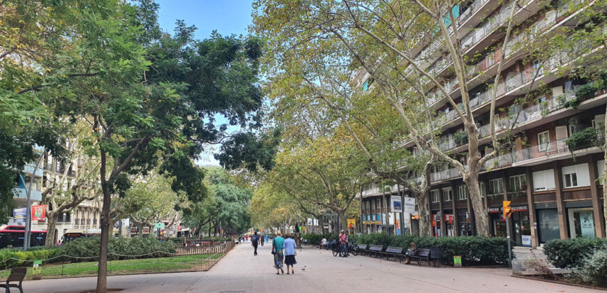 PENÚLTIMA planta con VISTAS y TERRAZAS en Passeig San Joan
