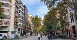 NEW BUILD PENTHOUSE with beautiful terrace on the same level in Ronda Sant Antoni (Penthouse 1)