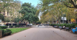 PENÚLTIMA planta con VISTAS y TERRAZAS en Passeig San Joan