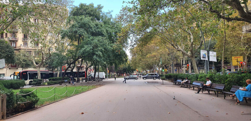 PENÚLTIMA planta con VISTAS y TERRAZAS en Passeig San Joan